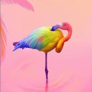 Meet your Posher, Diane